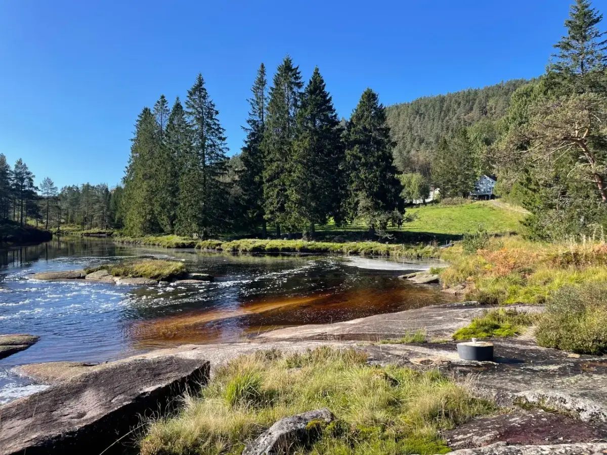 blog 8 New beginning