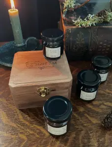 Verf, inkt & kalligrafie Forest inkt set 61