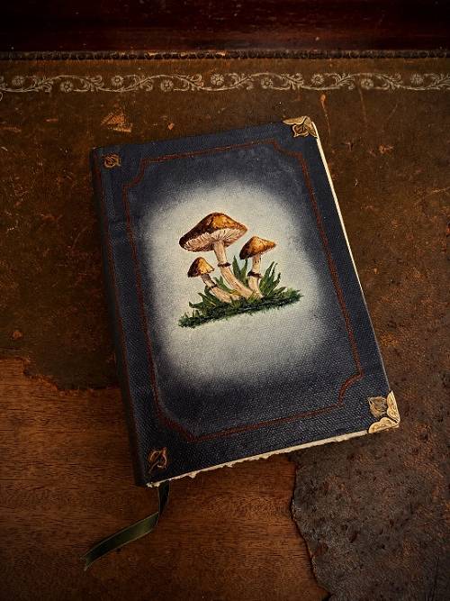 Mycelia — journal
