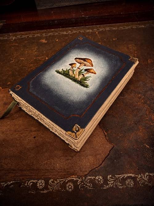 Books & Paper Mycelia — journal 302